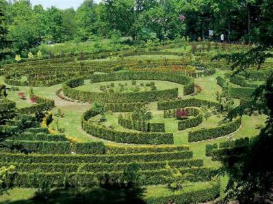Śląskie na zielono