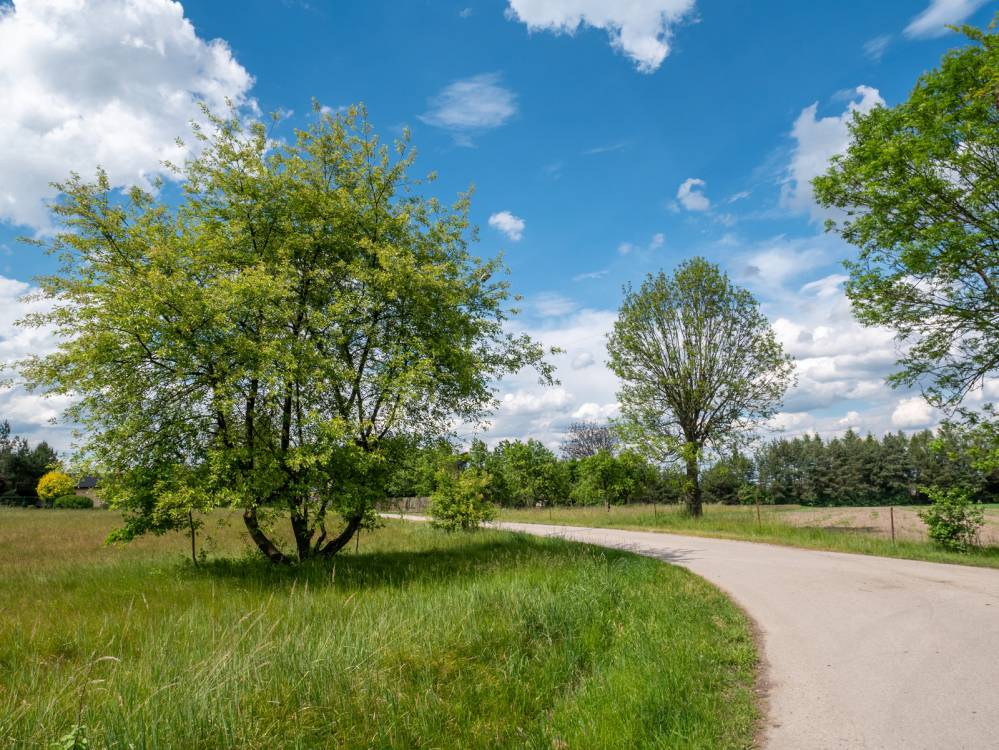 Szlak Niedźwiedziówka