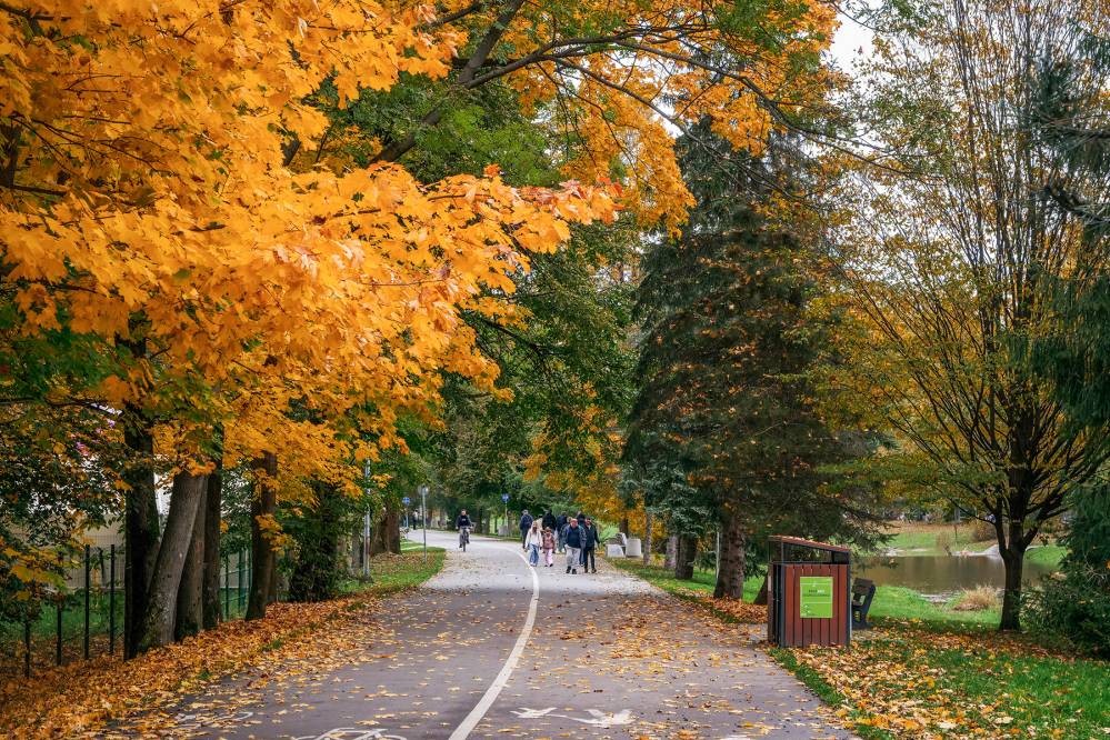 Ścieżka spacerowa nad Wisłą