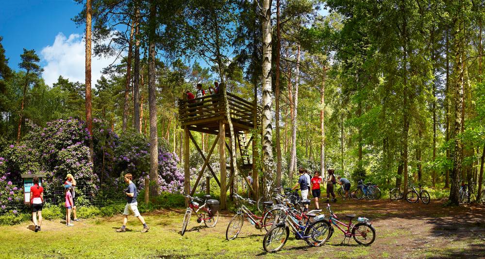 Park Krajobrazowy „Lasy nad Górną Liswartą”