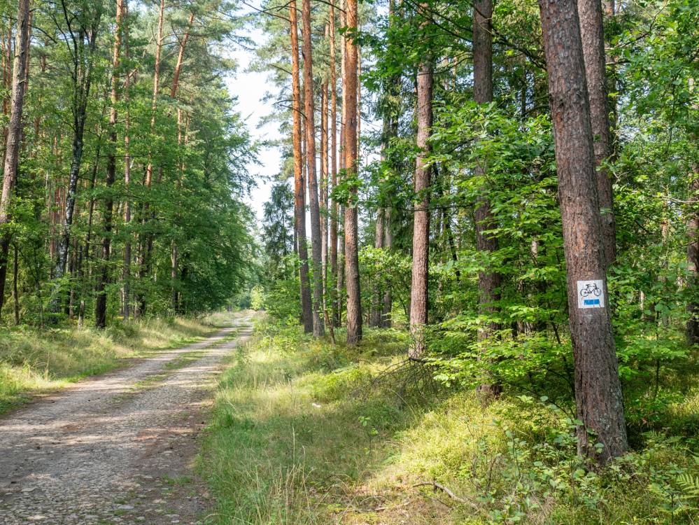 Park Krajobrazowy „Lasy nad Górną Liswartą”