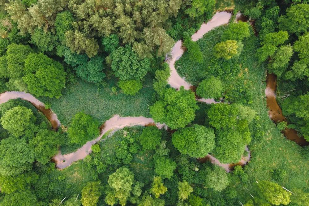 Supy na Białej Przemszy