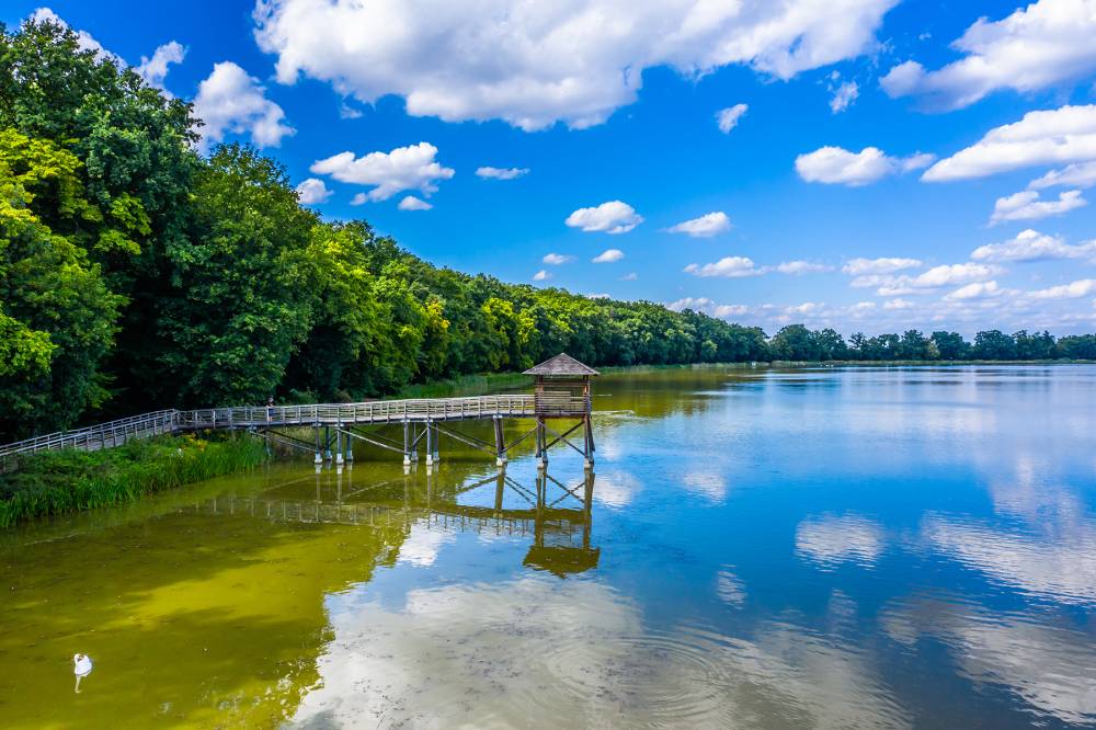 Rezerwat Przyrody Łężczok w Babicach