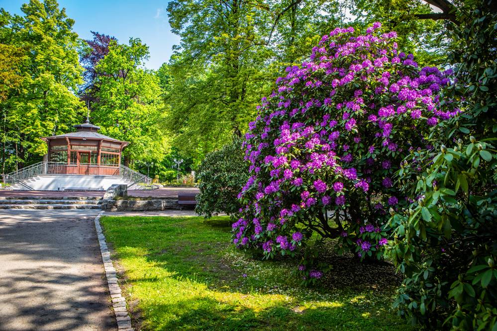 Park Zdrojowy w Jastrzębiu-Zdroju