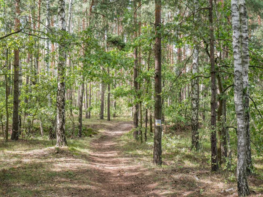 Szlak Przełomu Warty