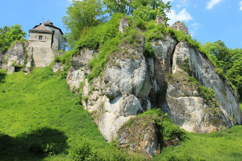 Zamek w Ojcowie fot. Rafał Rębisz