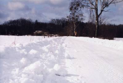 Zimowo przez Lasy Lublinieckie