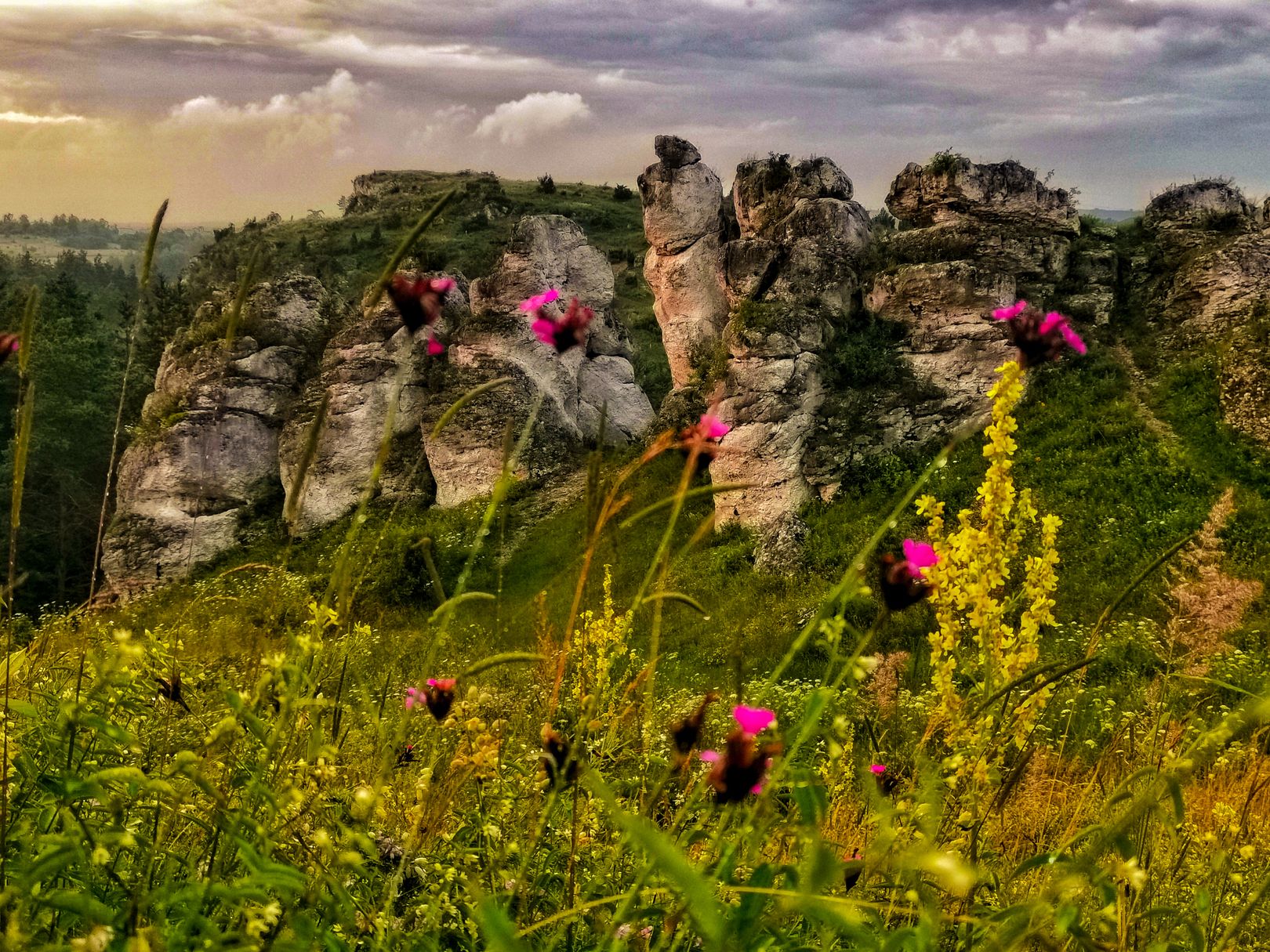 Góry Towarne, fot. Tomasz Sieniawski