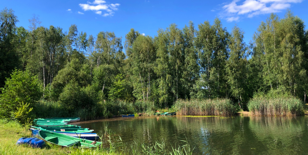 Co robić z dziećmi w weekend