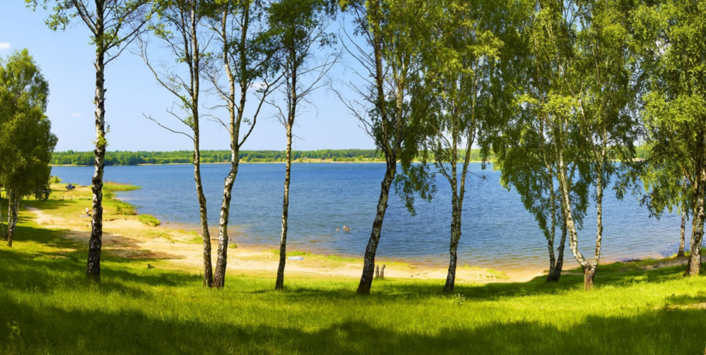 Co robić z dzieckiem w weekend