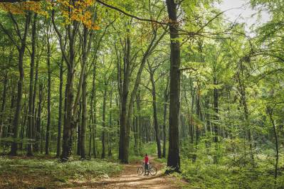 WYCIECZKA DO REZERWATU SEGIET W BYTOMIU 