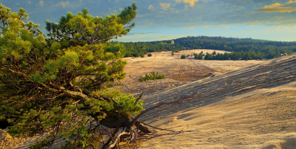 Najlepsze miejsca na Jurze