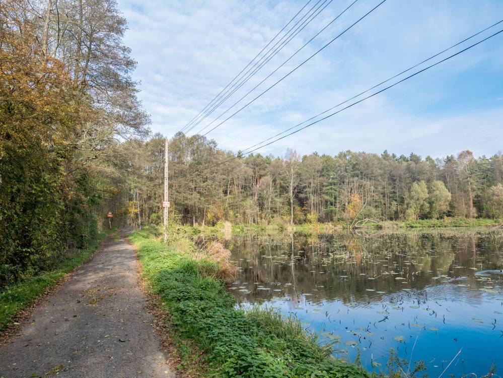 Niebieski szlak rowerowy Zawiercie - Ogrodzieniec