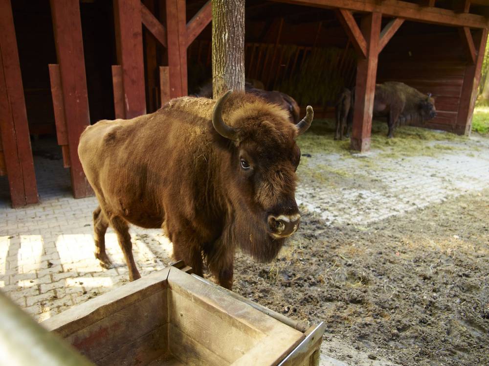 Szlak Książąt Pszczyńskich