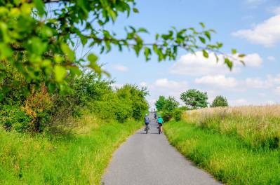 Trasy rowerowe w Gminie Żarki
