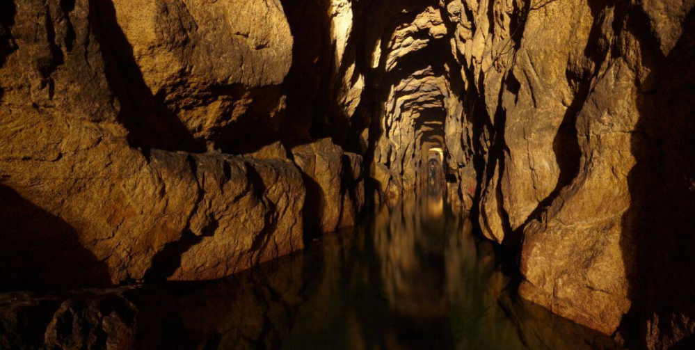 Najlepsze atrakcje dla dzieci na Śląsku